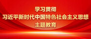 91黄色操鸡学习贯彻习近平新时代中国特色社会主义思想主题教育_fororder_ad-371X160(2)